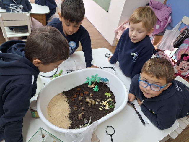 El cuidado de la naturaleza plasmado en un proyecto